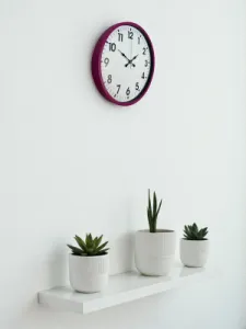 Pembe Plastik Duvar Saati 36 cm · Model PP-3601P